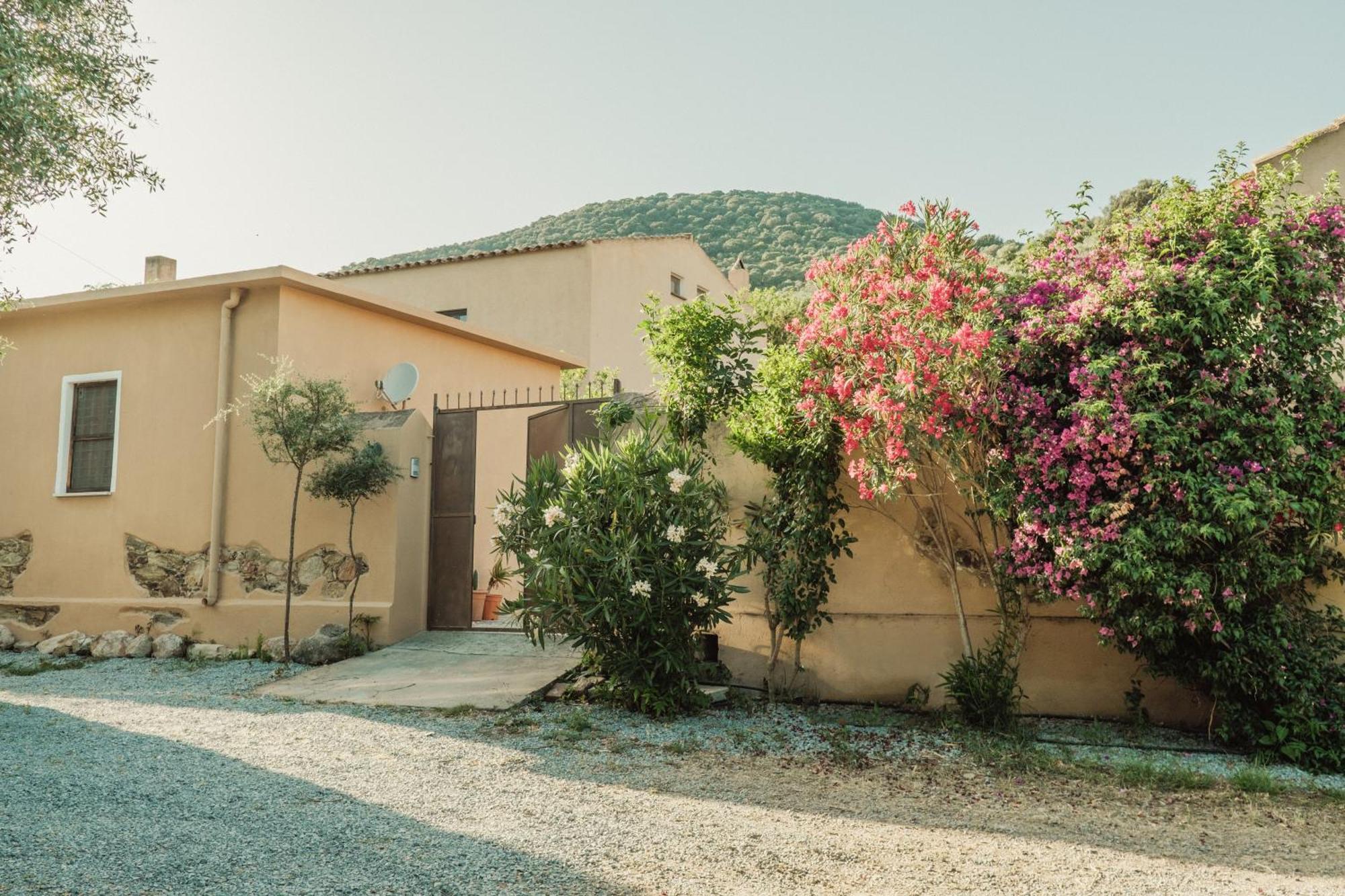 Villa Il Casale Teulada Exterior foto